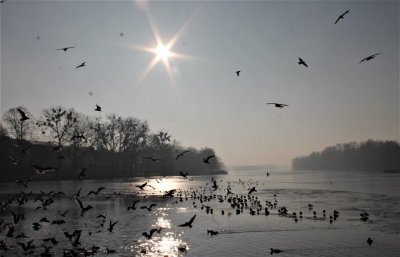 Jezioro Mogileńskie wczesną porą