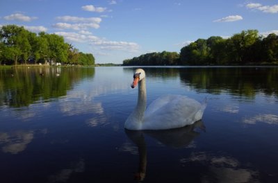 Jezioro Mogileńskie