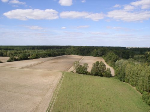 Widok lasów z wieży w Miradzu